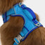 Dockside Adventures Ultimate Harness - Your Pet Connection