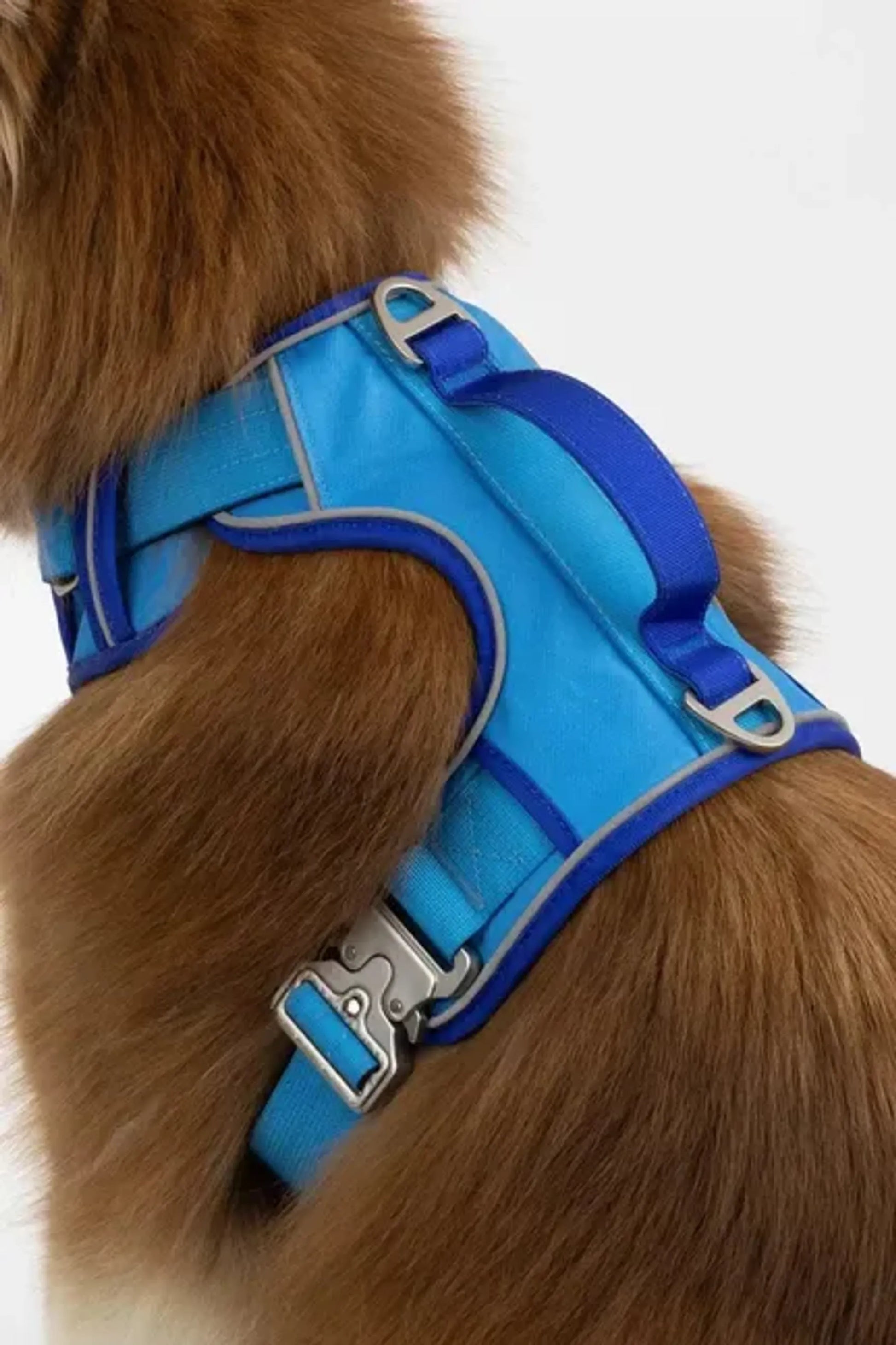 Dockside Adventures Ultimate Harness - Your Pet Connection