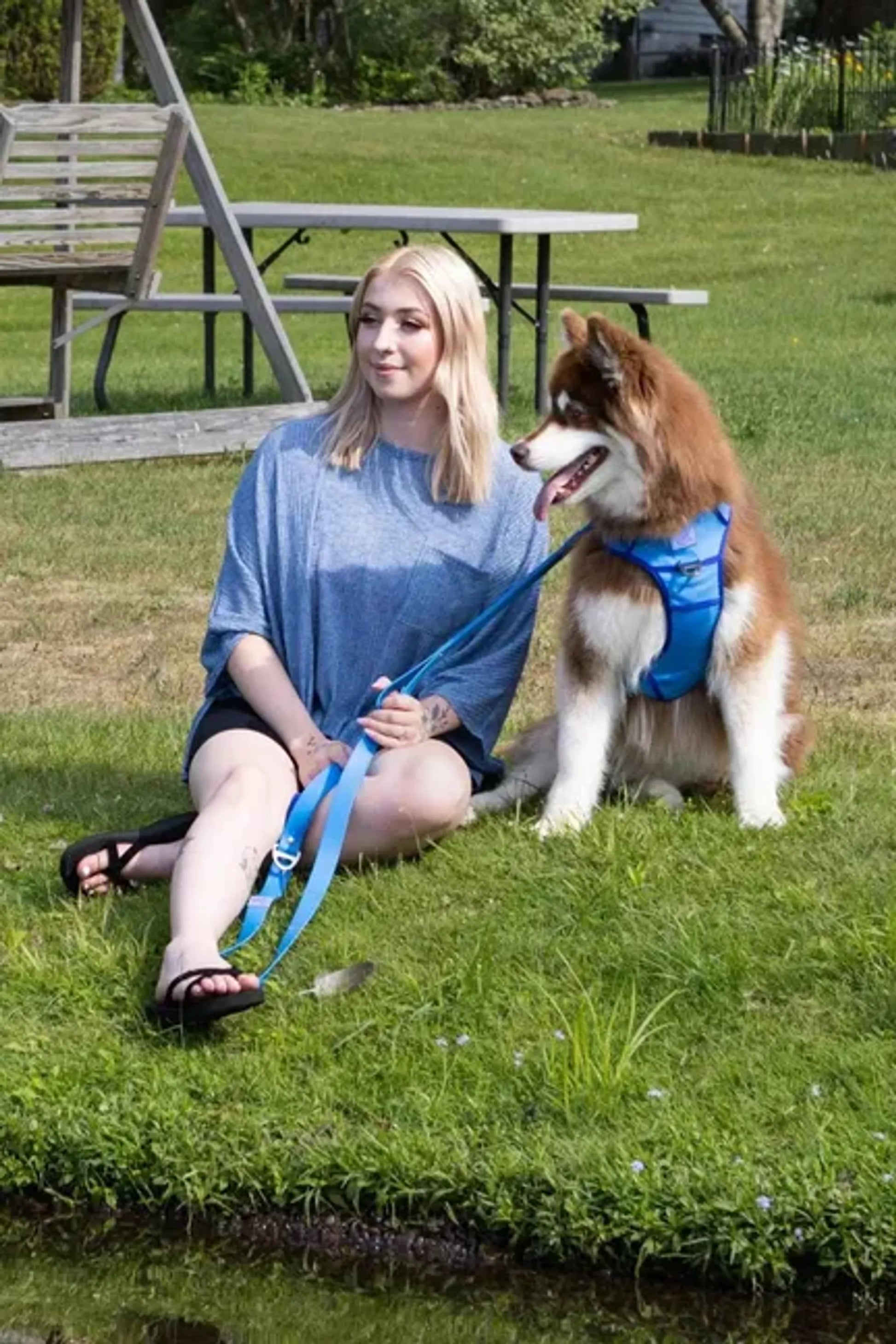 Dockside Adventures Ultimate Harness - Your Pet Connection