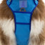 Dockside Adventures Ultimate Harness - Your Pet Connection