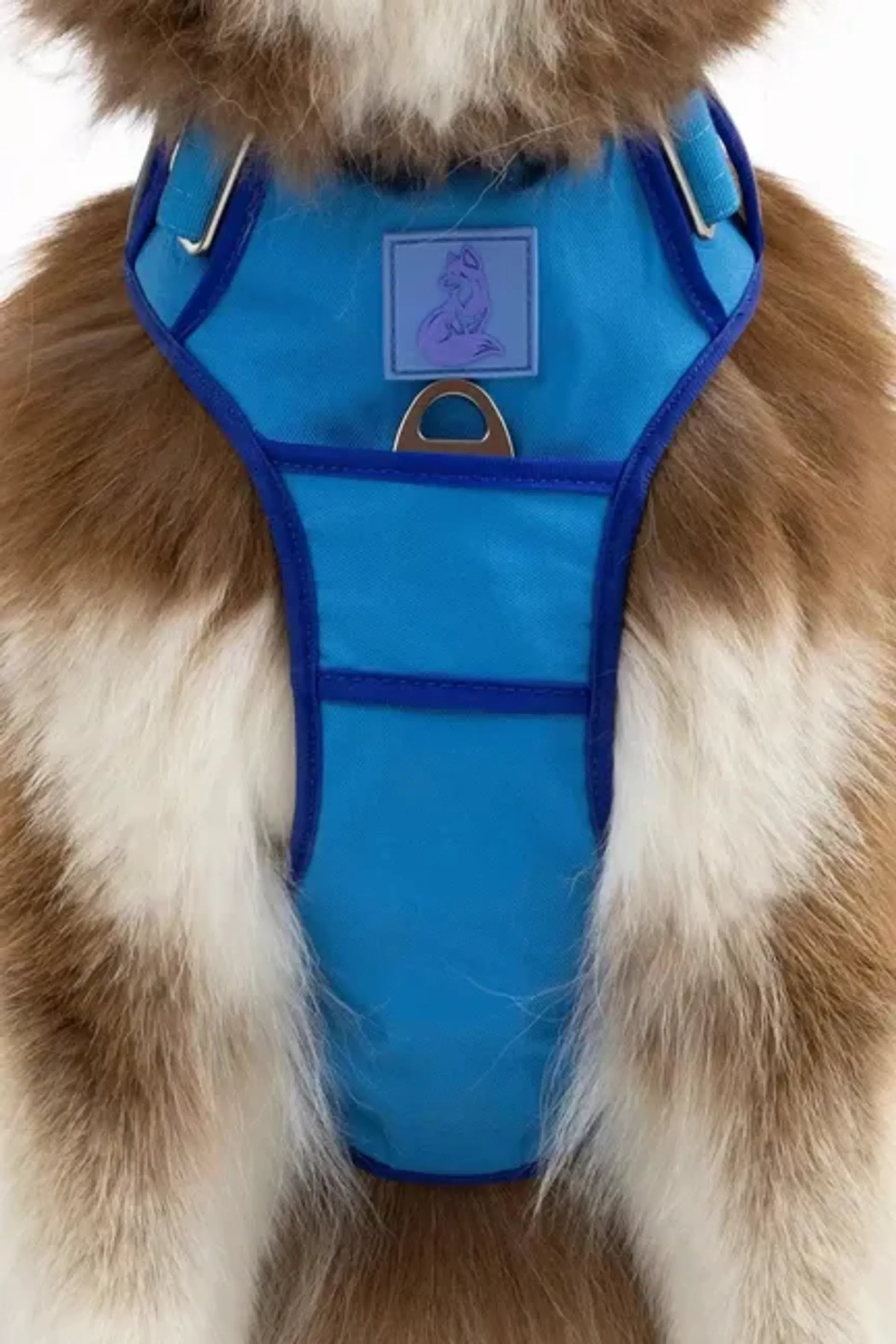 Dockside Adventures Ultimate Harness - Your Pet Connection
