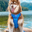 Dockside Adventures Ultimate Harness - Your Pet Connection
