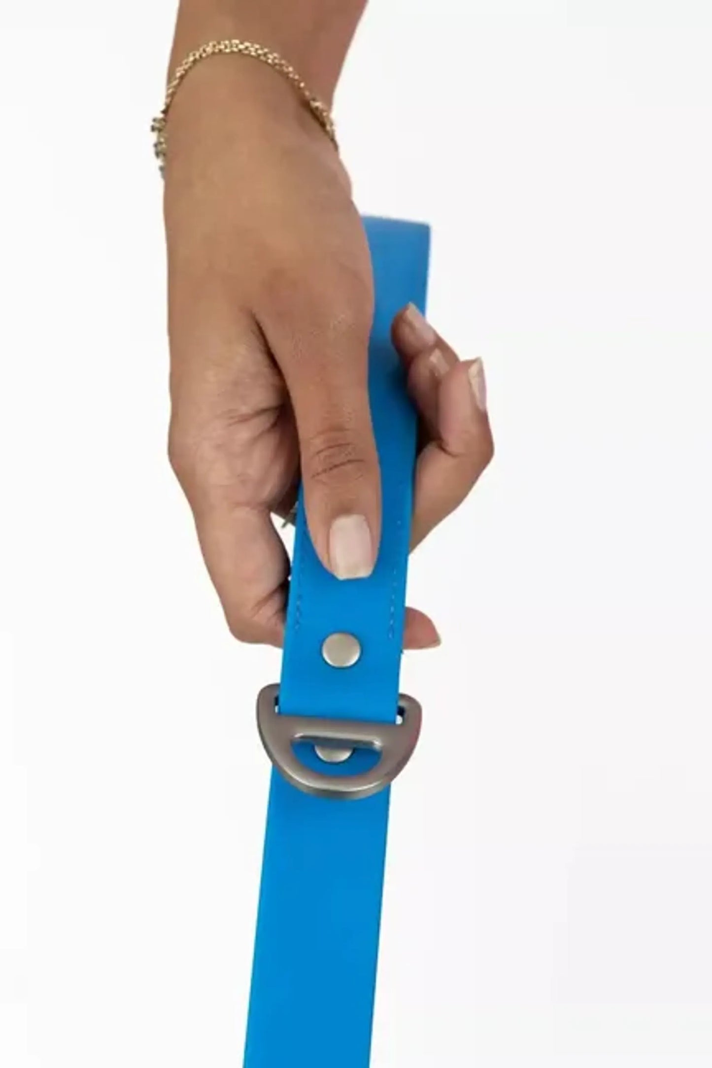 Dockside Adventures Waterproof Dog Leash - Your Pet Connection