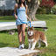 Dockside Adventures Waterproof Dog Leash - Your Pet Connection