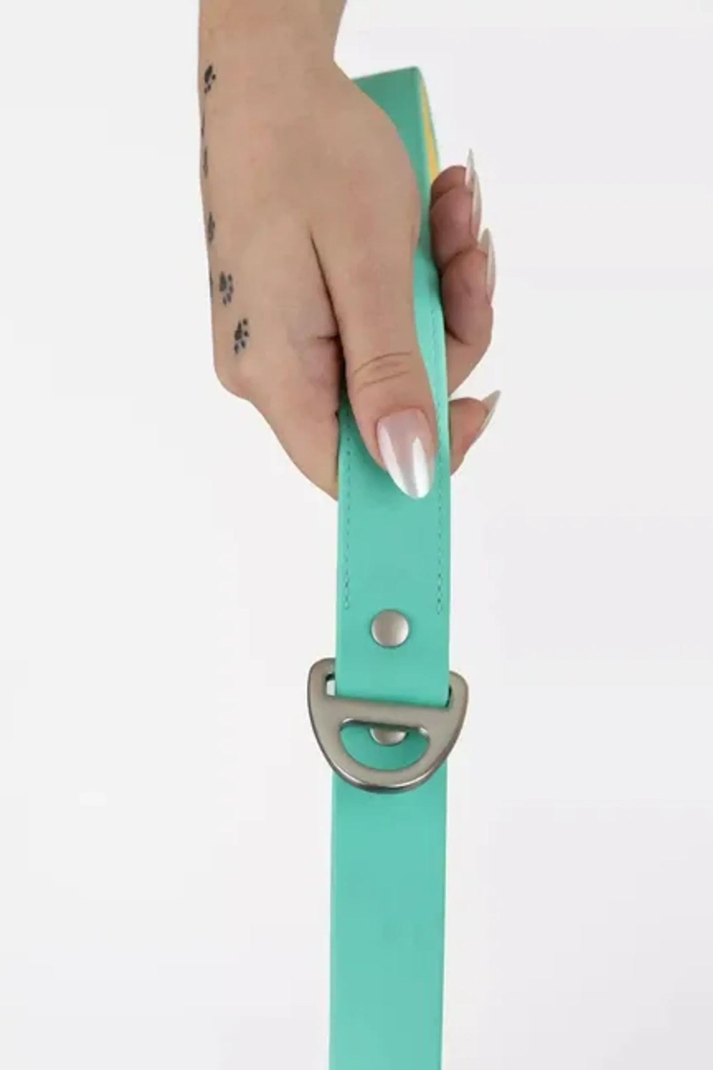 Aria the Fox Island Vibes Dog Leash 5ft