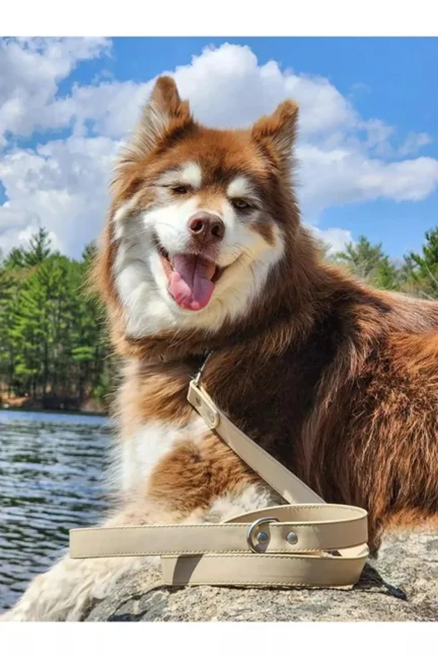 Aria the Fox Stylish Vegan Leather Leash 120cm