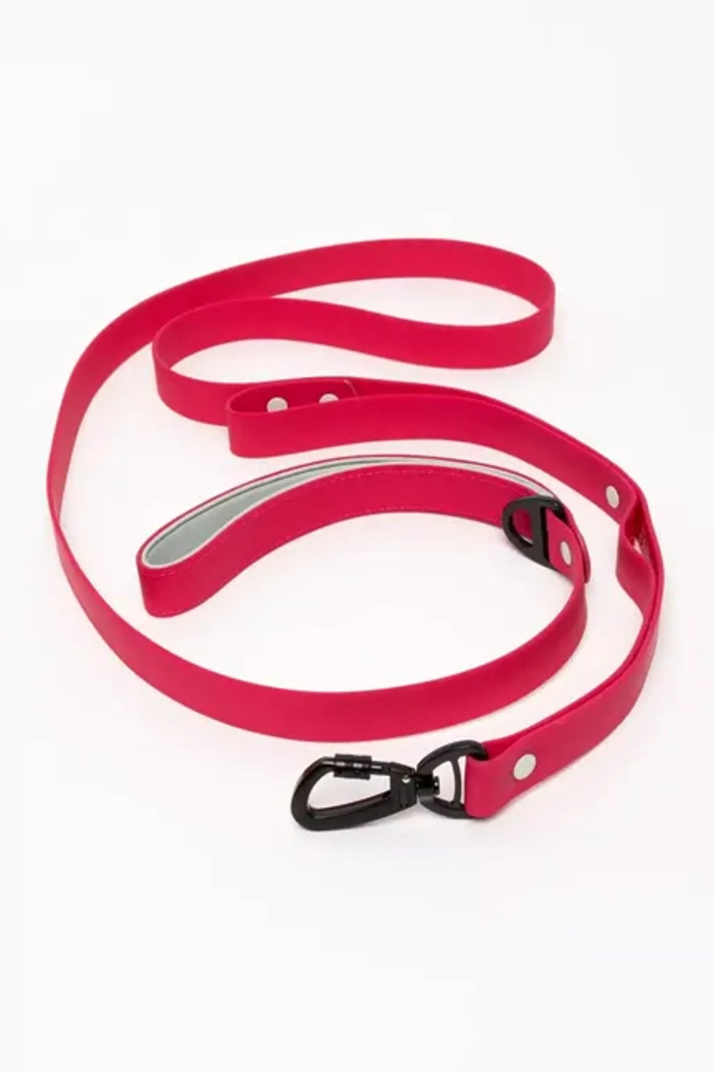 Red Mountain Syrah Waterproof Dog Leash - Your Pet Connection