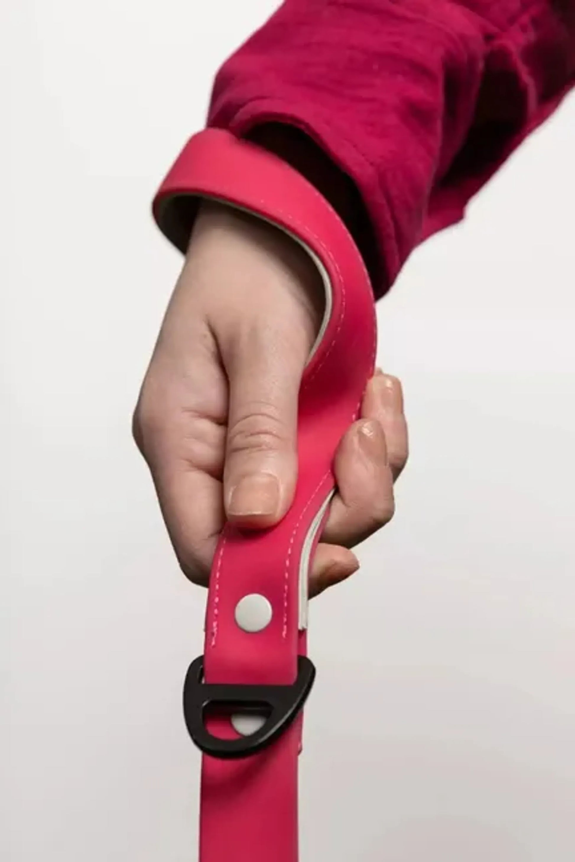 Red Mountain Syrah Waterproof Dog Leash - Your Pet Connection