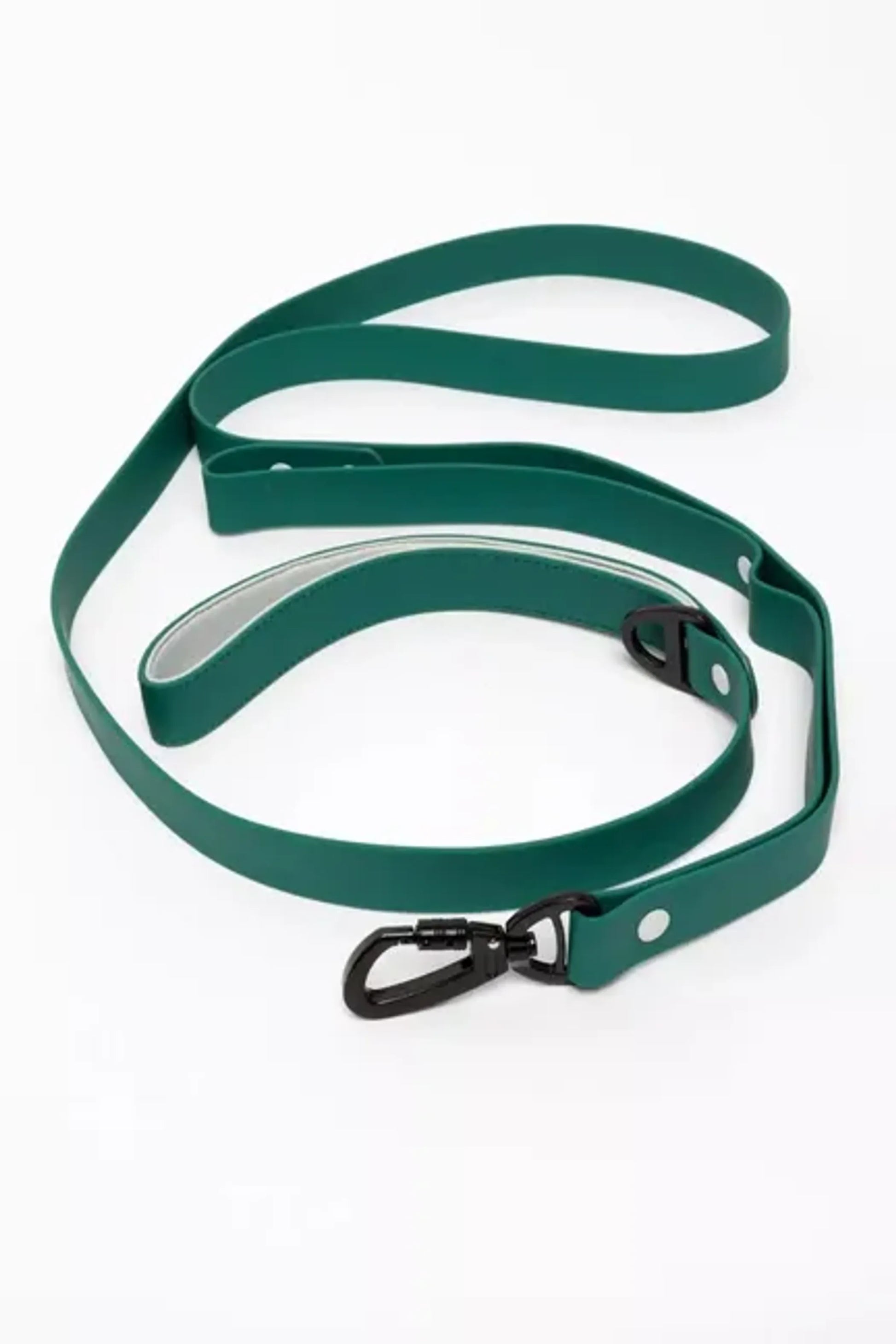 Siberian Spruce Waterproof Dog Leash - Your Pet Connection