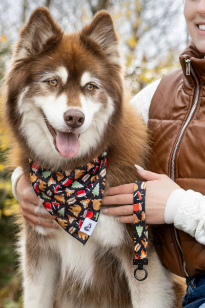 Woodland Tales Dog Bandana & Matching Keychain - Your Pet Connection