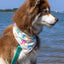 Sun & Shade Dog Bandana & Matching Keychain - Your Pet Connection