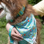 Seaside Sips Dog Bandana & Matching Keychain - Your Pet Connection