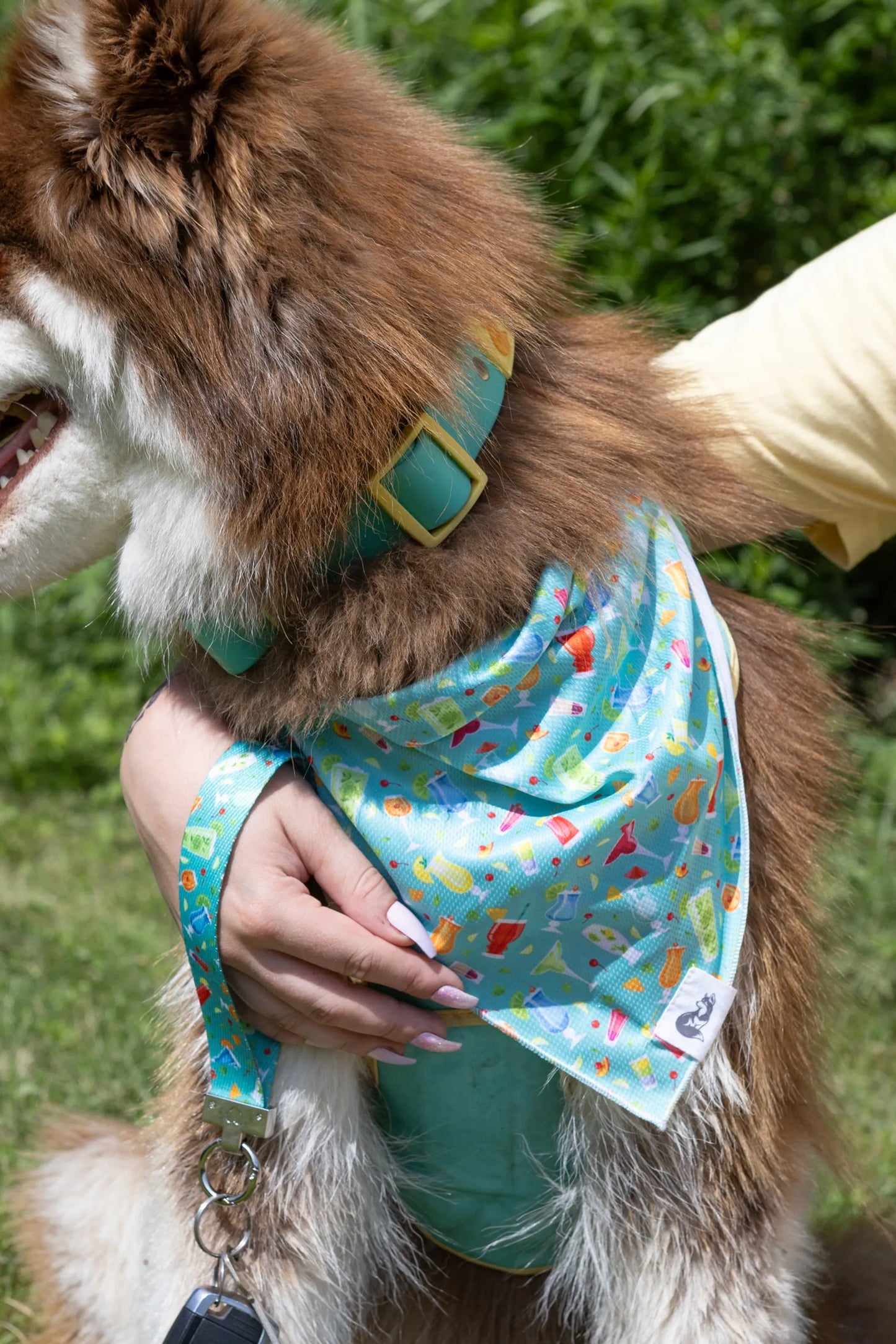 Seaside Sips Dog Bandana & Matching Keychain - Your Pet Connection