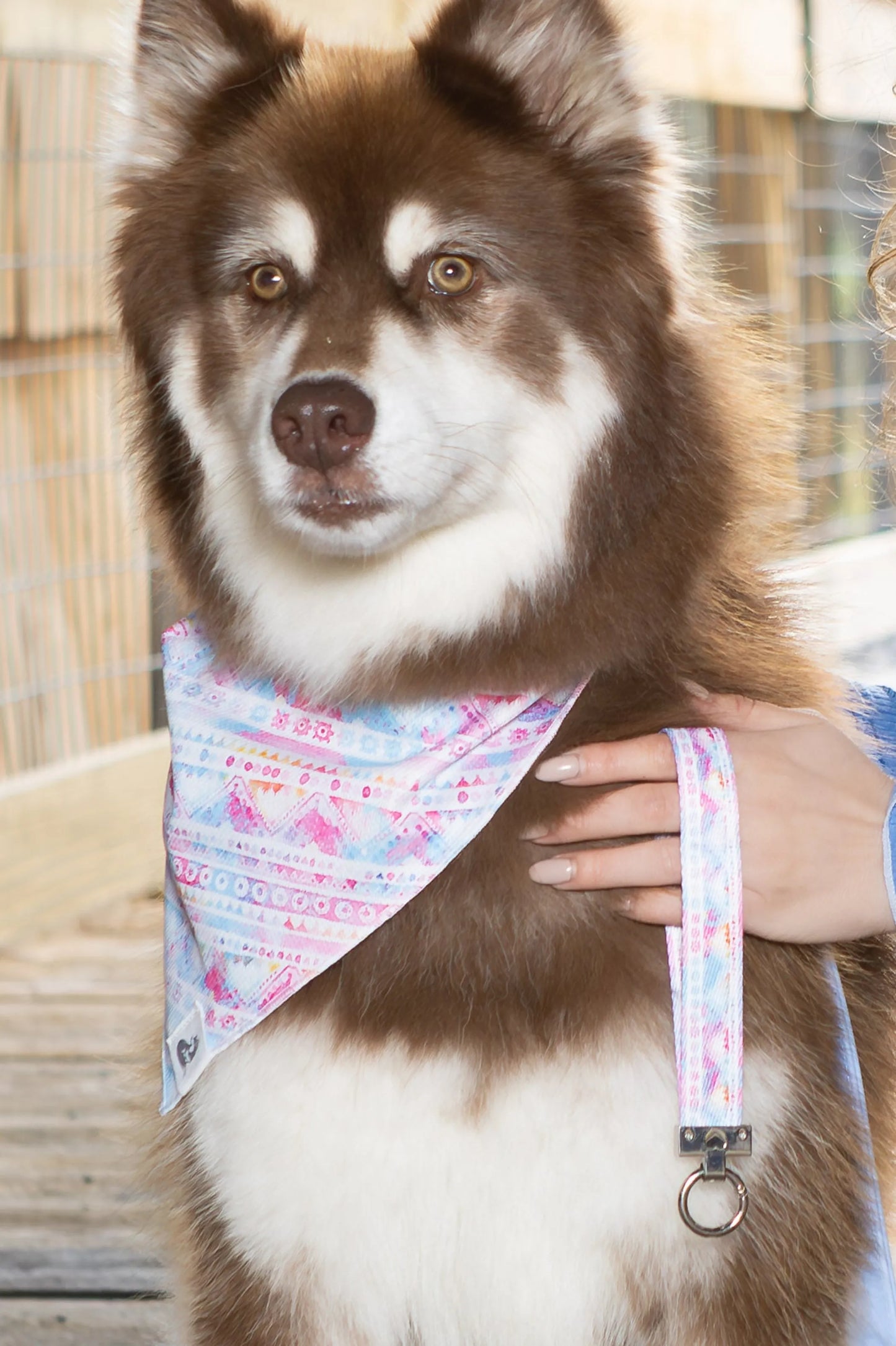 Pink and Blue Tribal Dog Bandana & Matching Keychain - Your Pet Connection