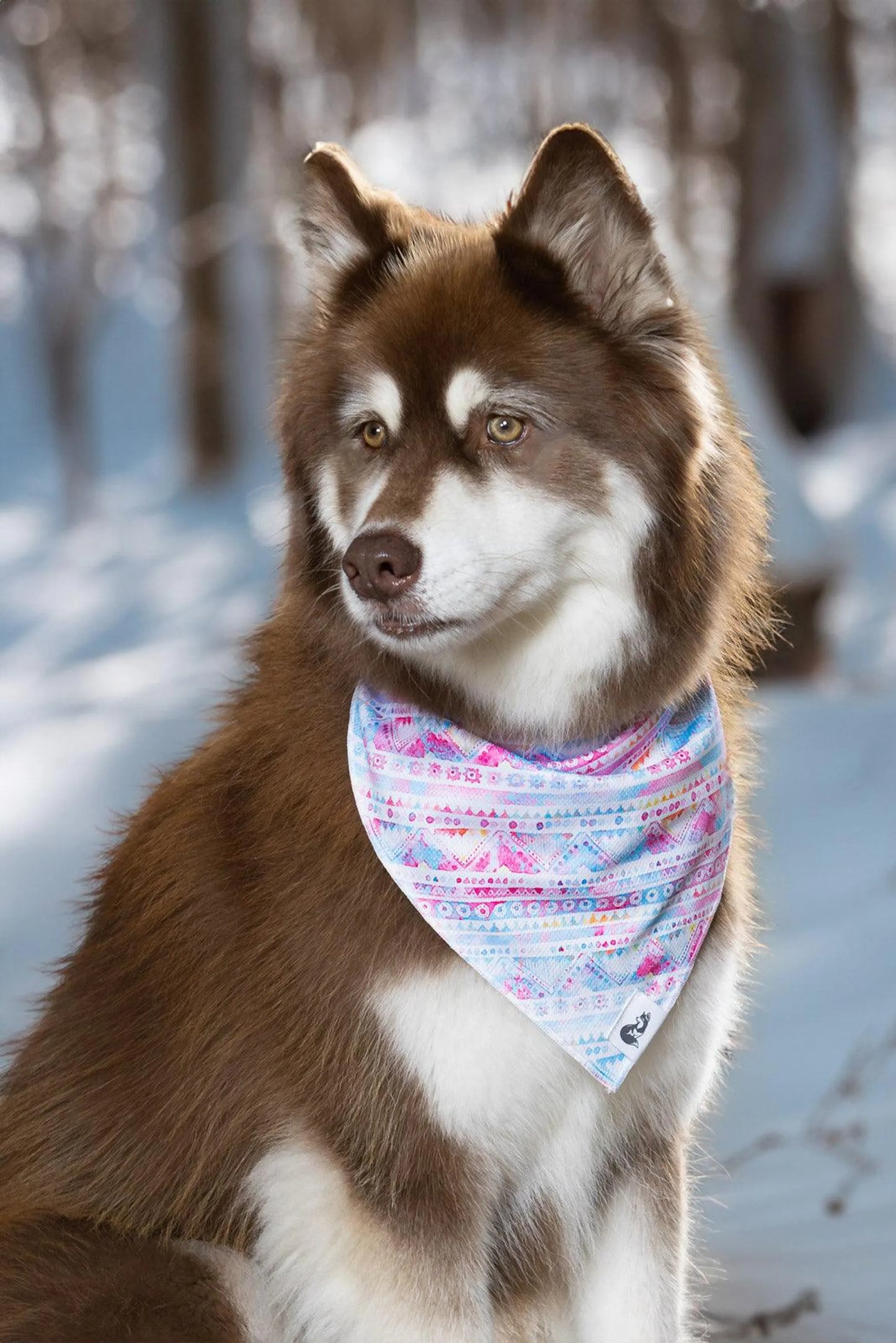 Pink and Blue Tribal Dog Bandana & Matching Keychain - Your Pet Connection