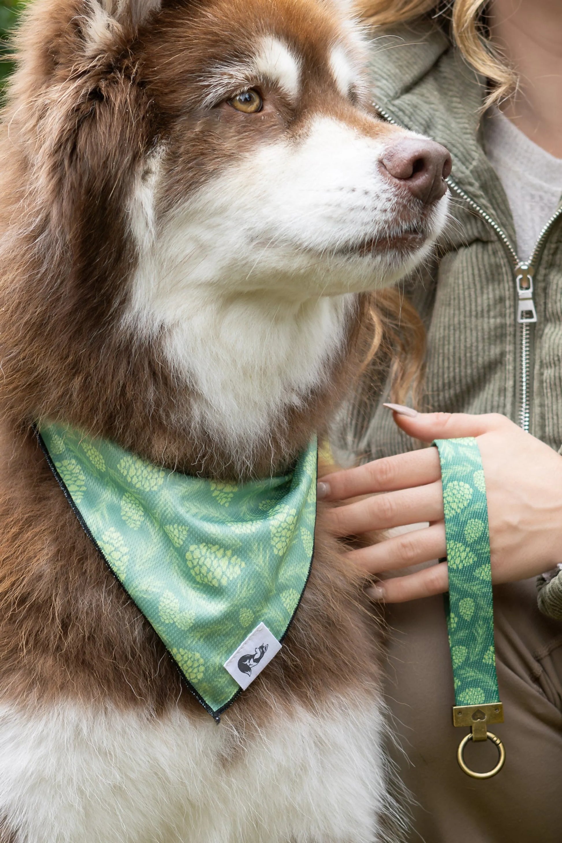 Pine Cone Pup Bandana & Matching Keychain - Your Pet Connection