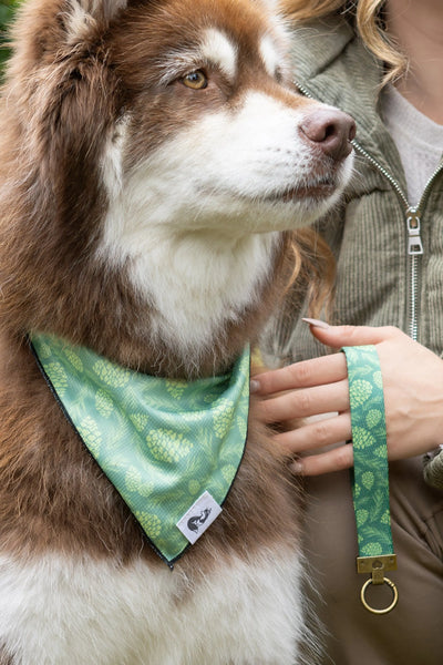 Pine Cone Pup Bandana & Matching Keychain - Your Pet Connection