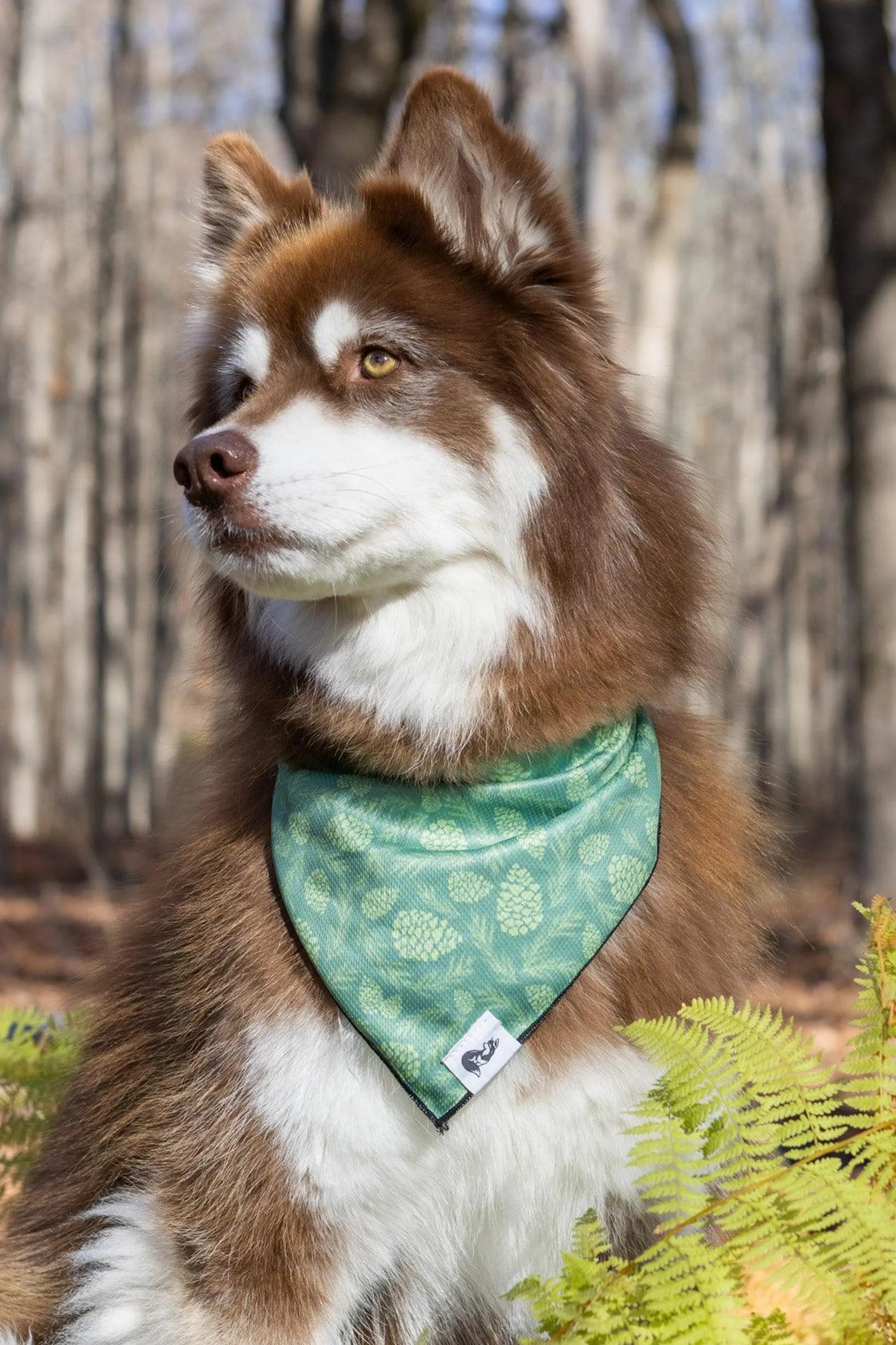Pine Cone Pup Bandana & Matching Keychain - Your Pet Connection