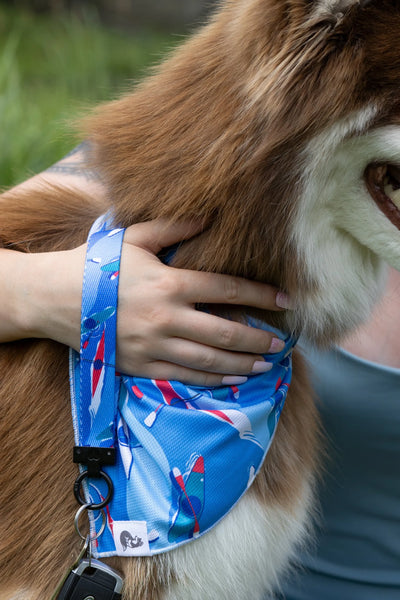 K9 Kayak Dog Bandana & Matching Keychain - Your Pet Connection