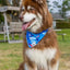 K9 Kayak Dog Bandana & Matching Keychain - Your Pet Connection