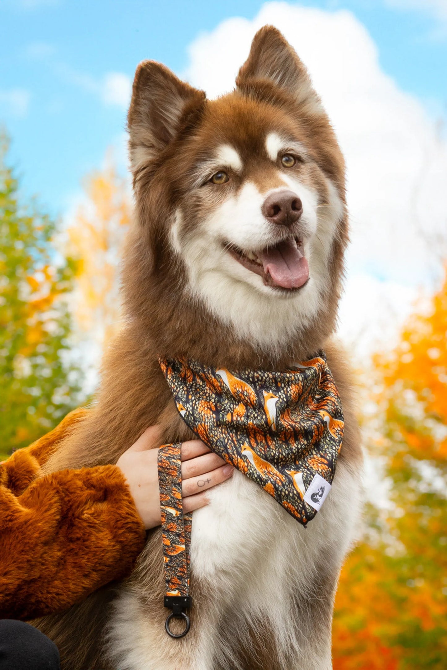 Foxes in Fall Dog Bandana & Matching Keychain - Your Pet Connection