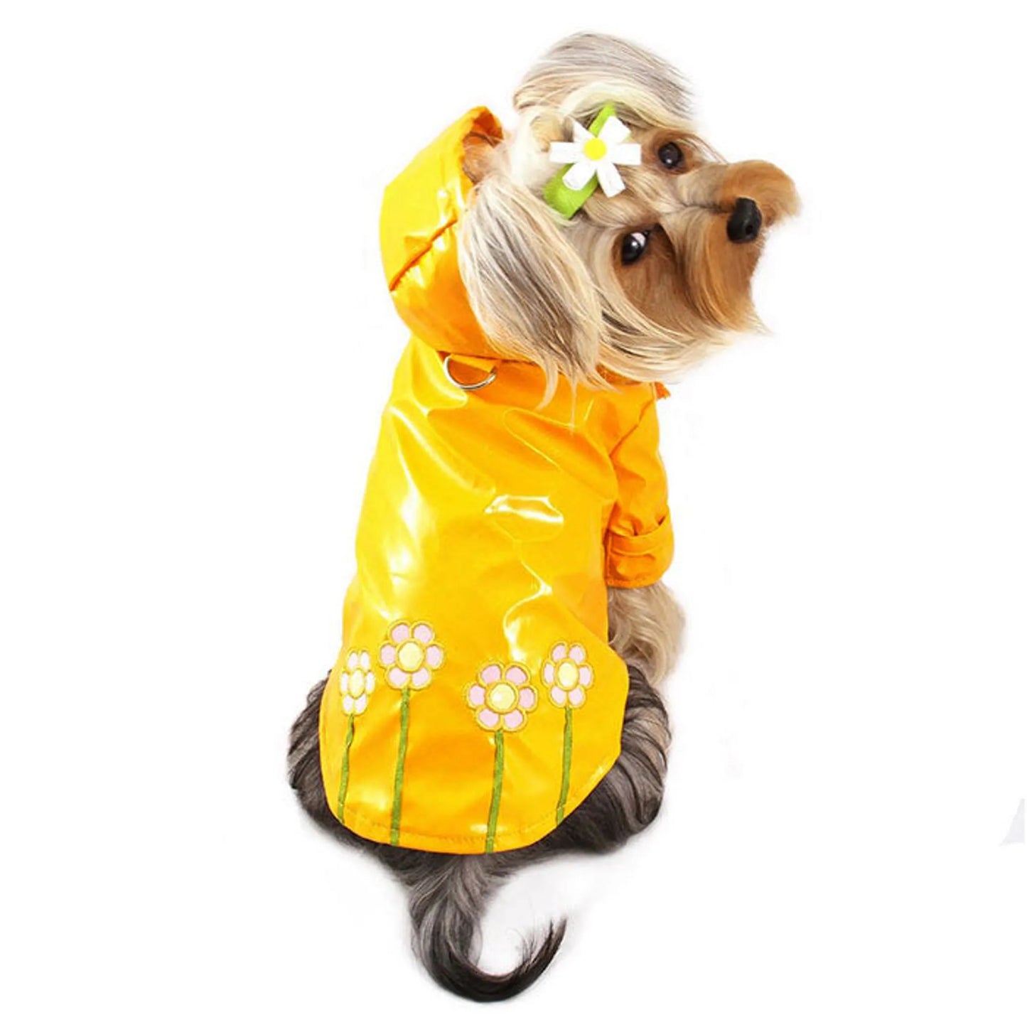 Polka Dots & Daisies Raincoat with Cotton Lining - Your Pet Connection