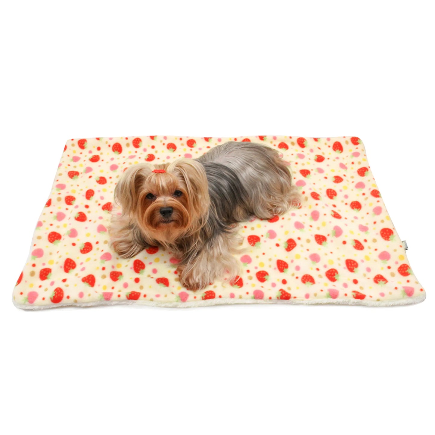 Yummy Strawberry Fleece/Plush Blanket - Your Pet Connection