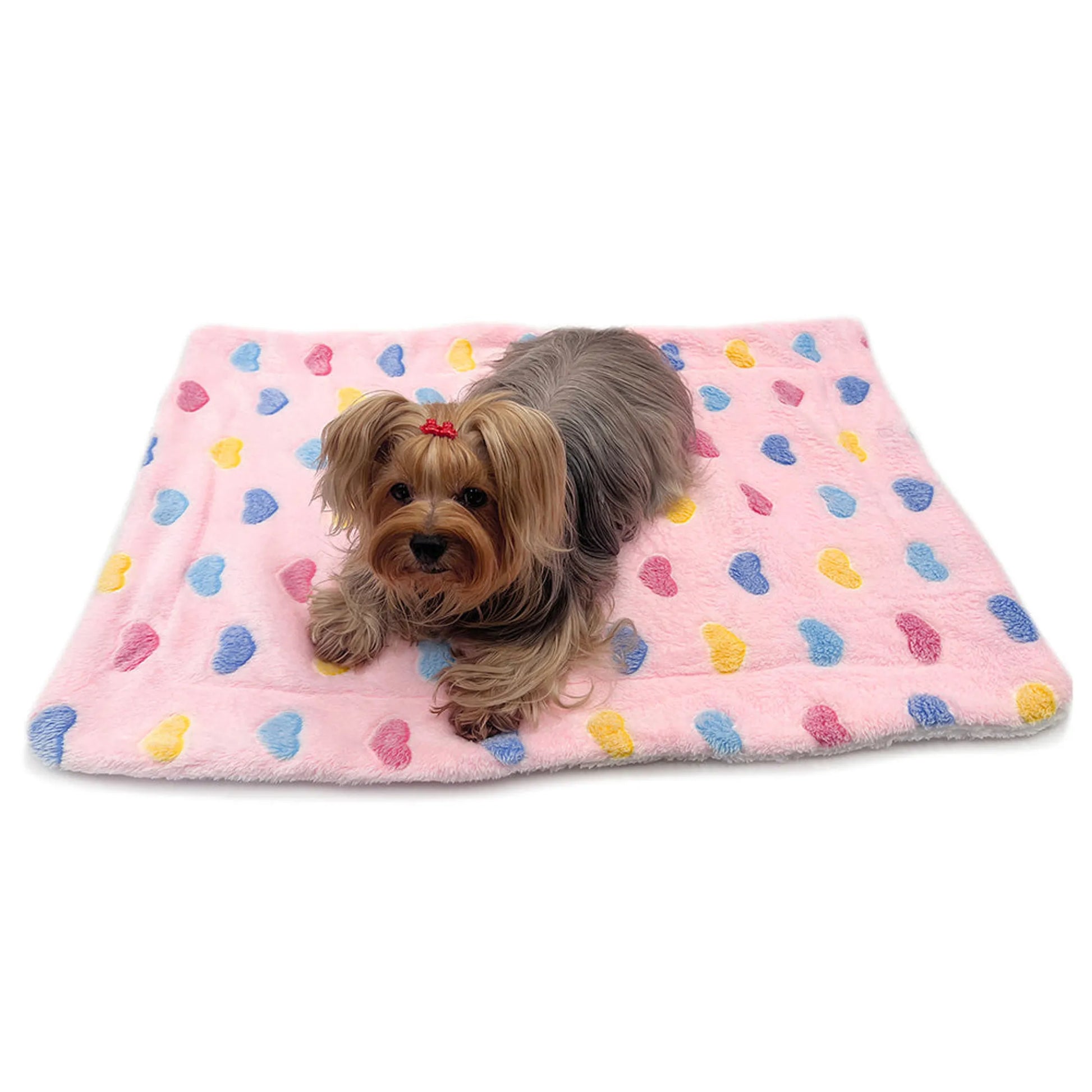 Ultra Plush Colorful Hearts Blanket - Your Pet Connection