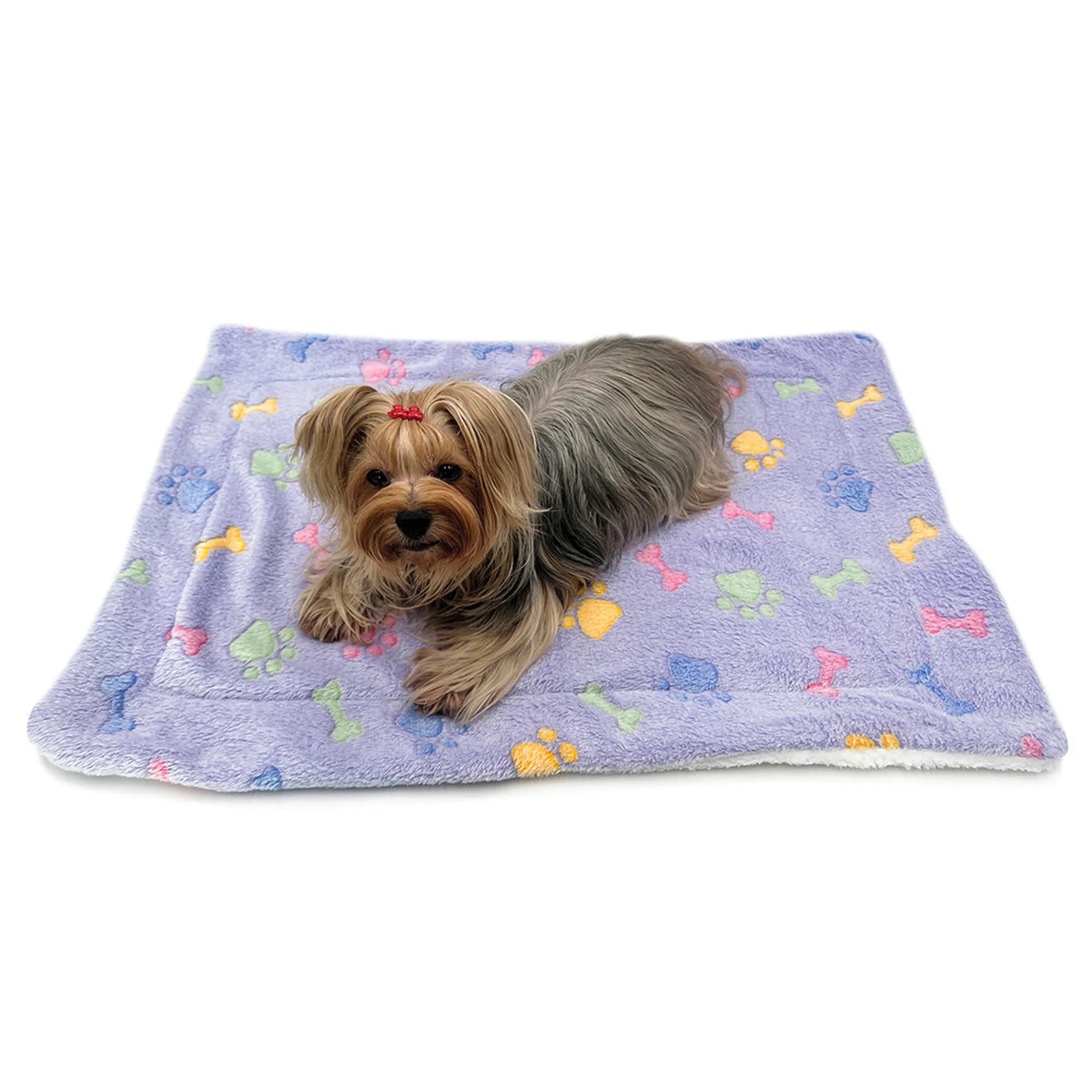 Ultra Plush Colorful Bones/Paws Blanket - Your Pet Connection
