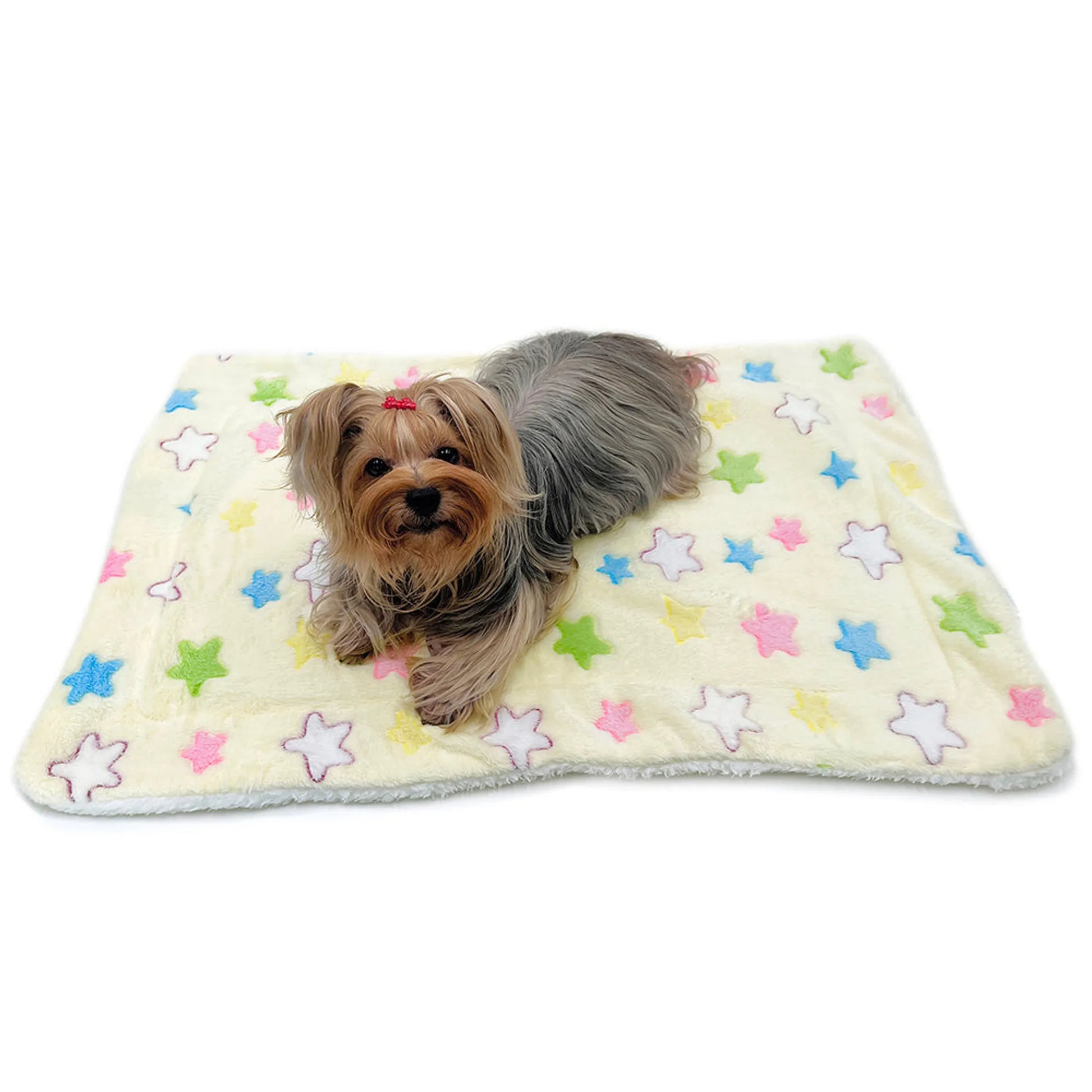 Ultra Plush Colorful Stars Blanket - Your Pet Connection