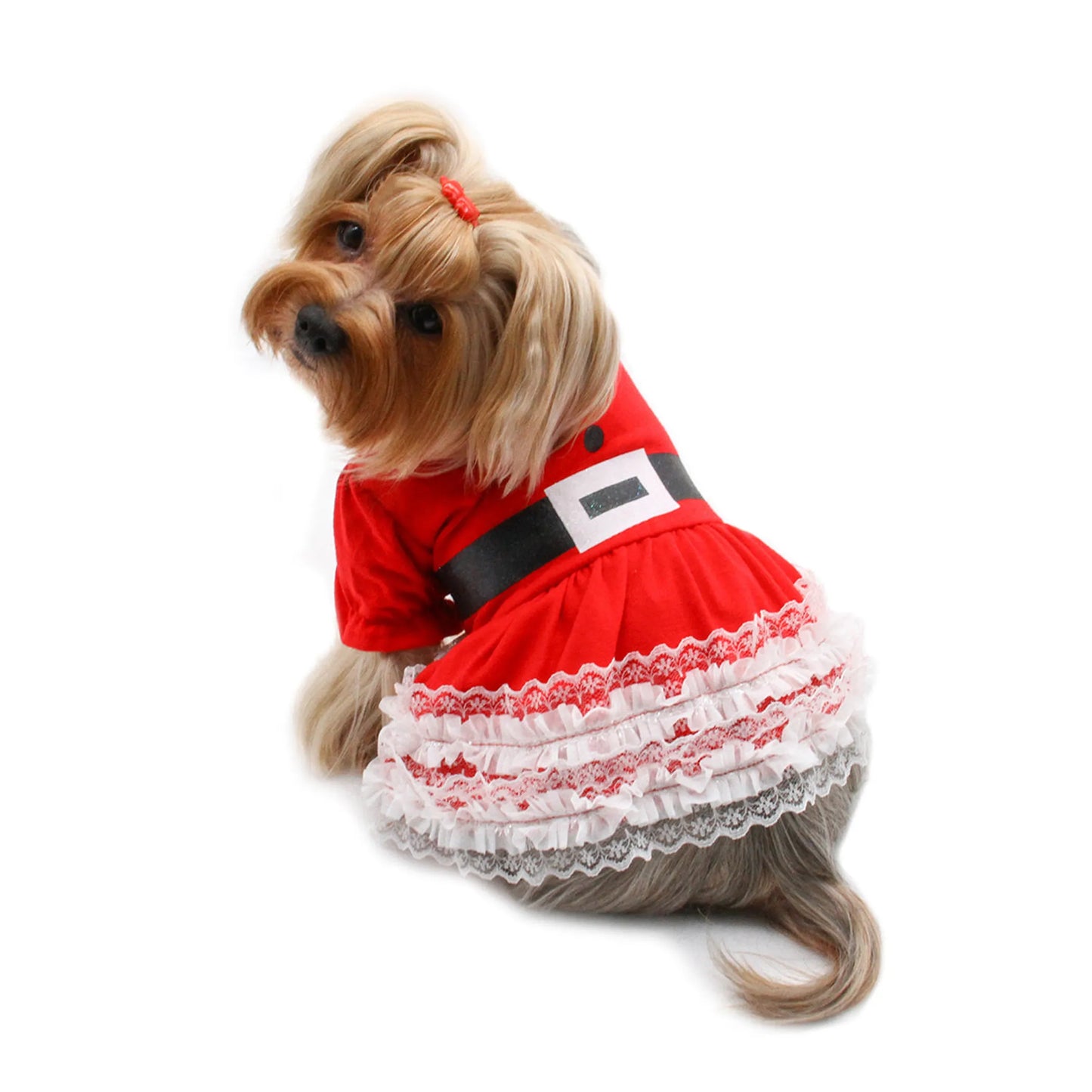 Lace Ruffles Puffy Sleeves Christmas Dress - Your Pet Connection