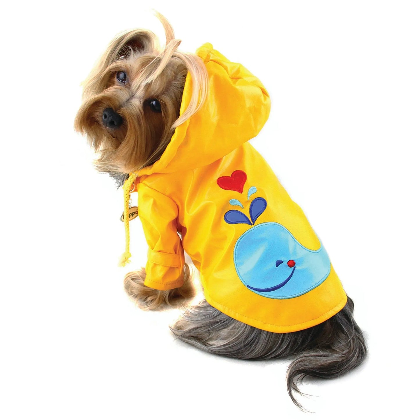 Splashing Whale Raincoat with Cotton Lining - Your Pet Connection