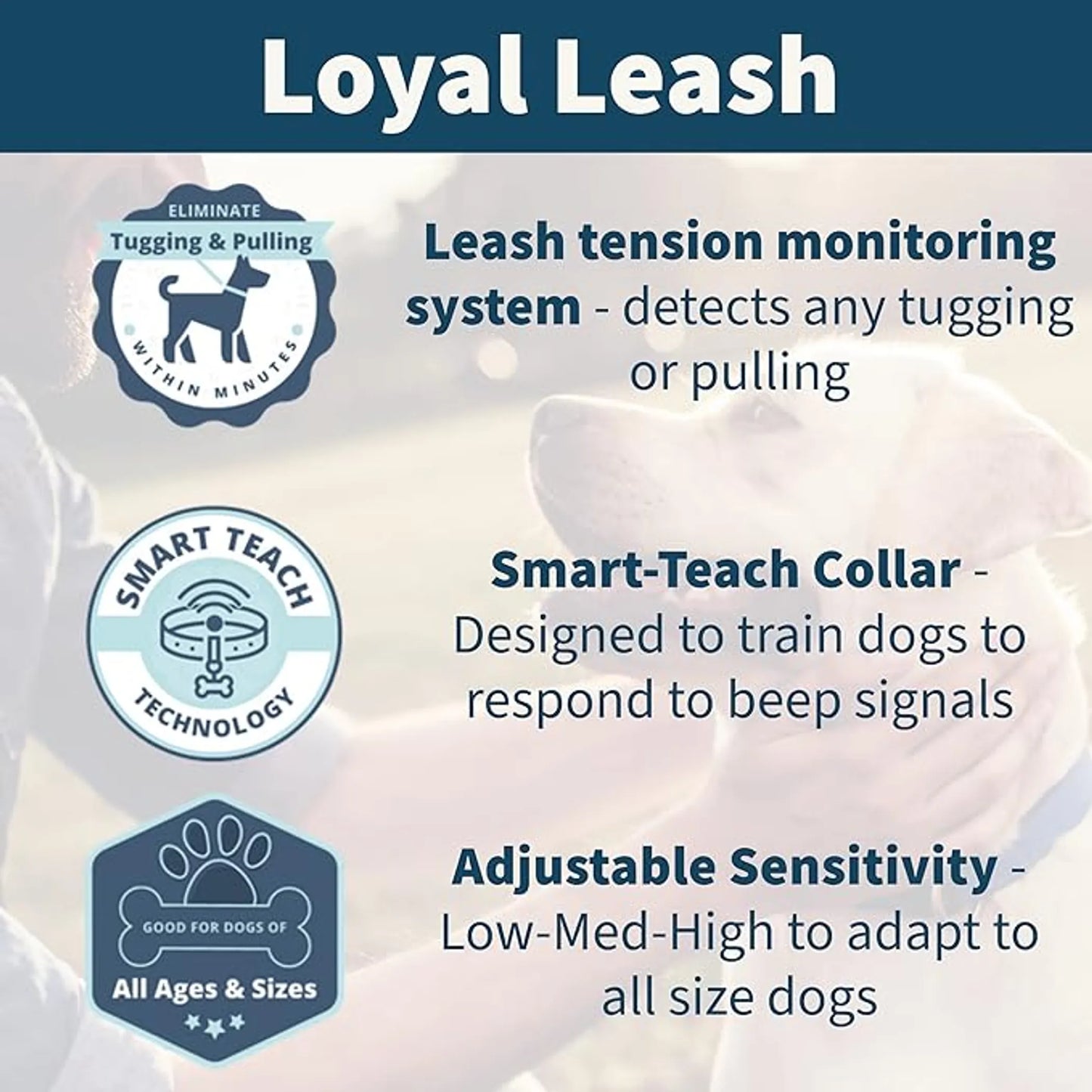 Loyal leash - Your Pet Connection