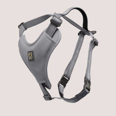 NANDOG Neoprene Sport Dog Harness - Your Pet Connection