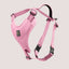 NANDOG Neoprene Sport Dog Harness - Your Pet Connection