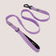 NANDOG Anti-Push Sport Dog Leash With Neoprene Handle - Your Pet Connection