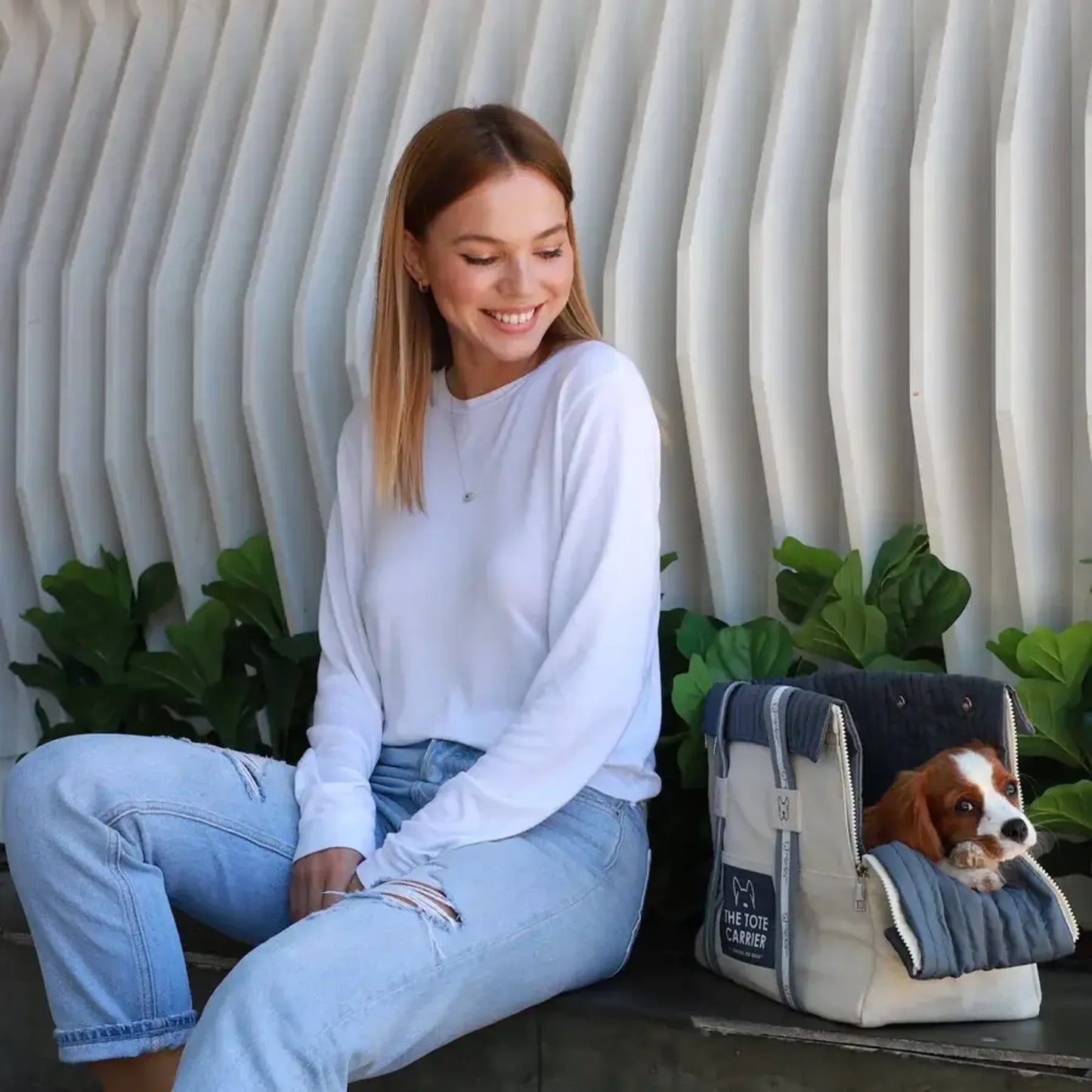 NANDOG The Tote Dog Carrier - Your Pet Connection
