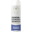 Original Formula - Your Pet Connection