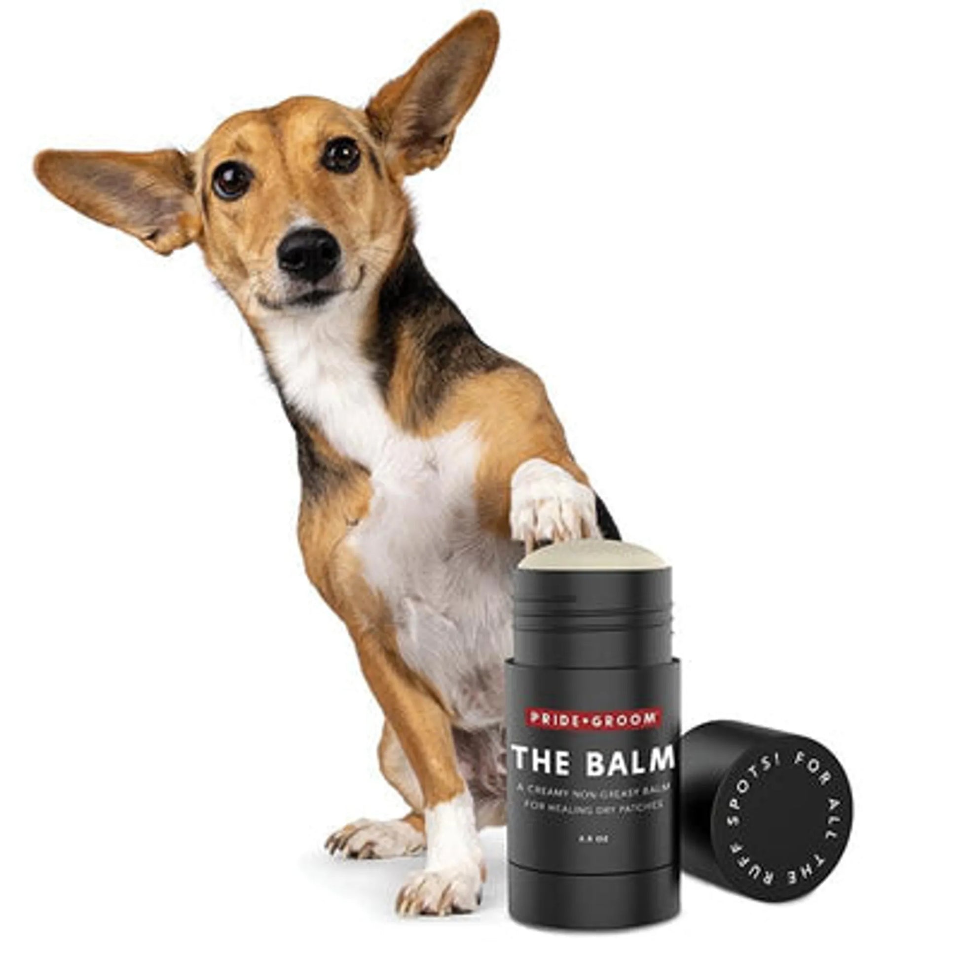 The Balm 2.5oz - Your Pet Connection