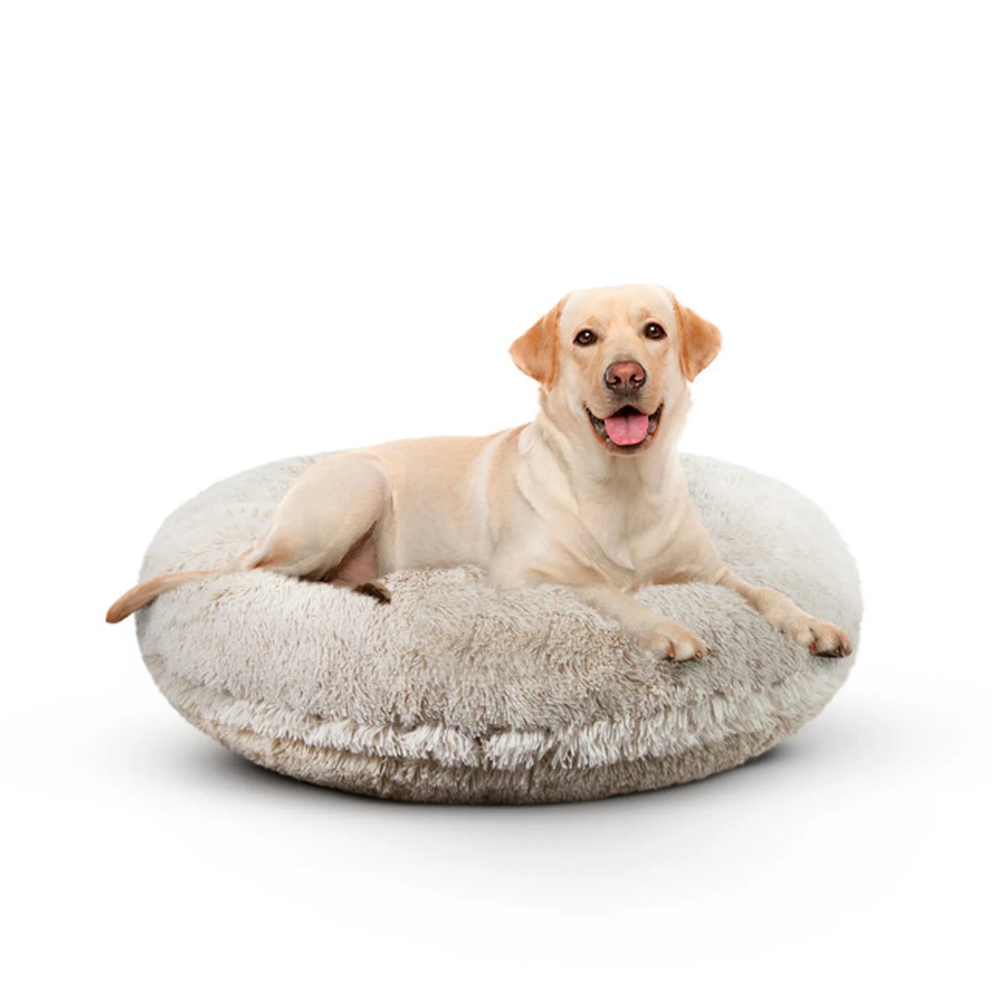 Bagel Bed SM - Blondie - Your Pet Connection