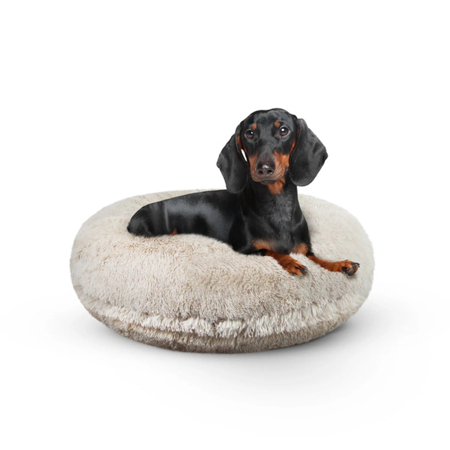 Bagel Bed SM - Blondie - Your Pet Connection