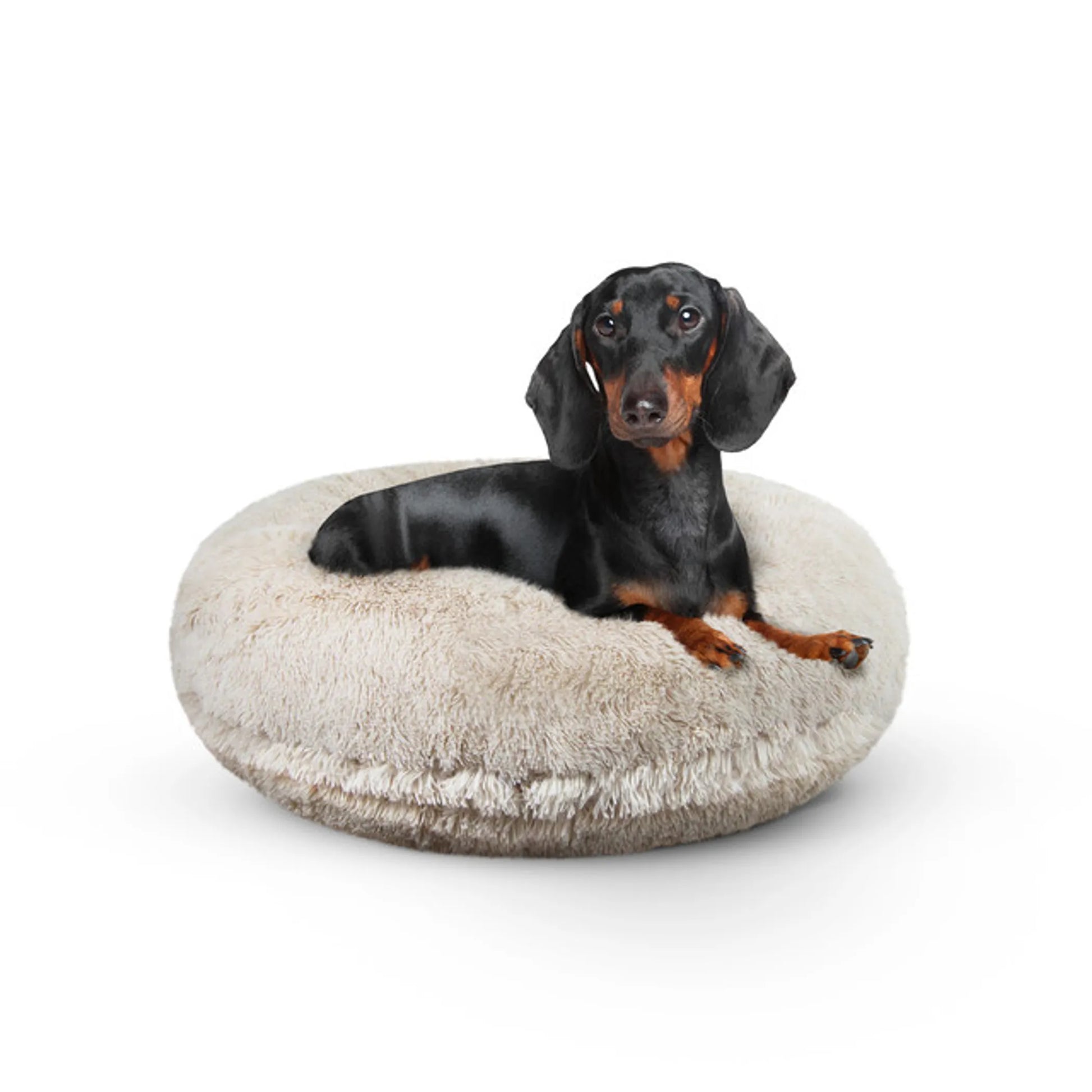 Bagel Bed SM - Blondie - Your Pet Connection