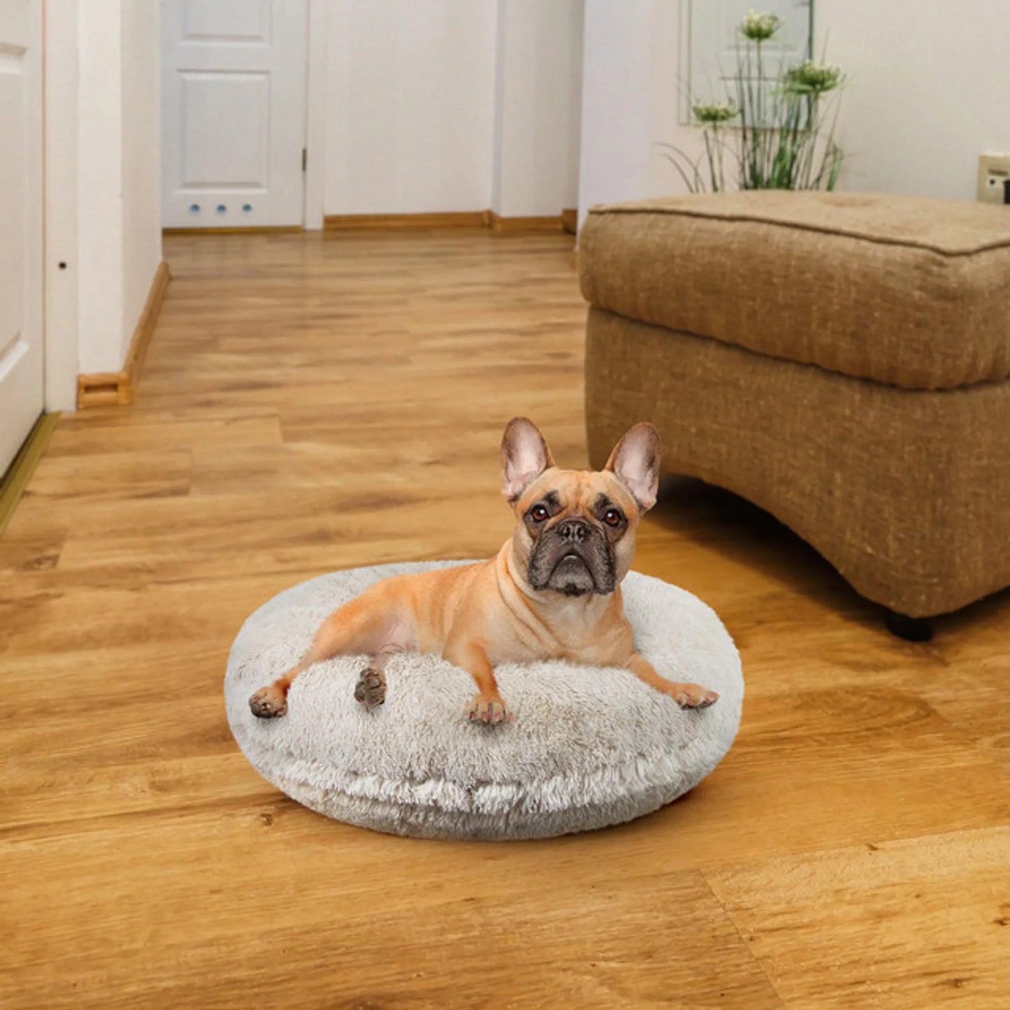 Bagel Bed SM - Blondie - Your Pet Connection