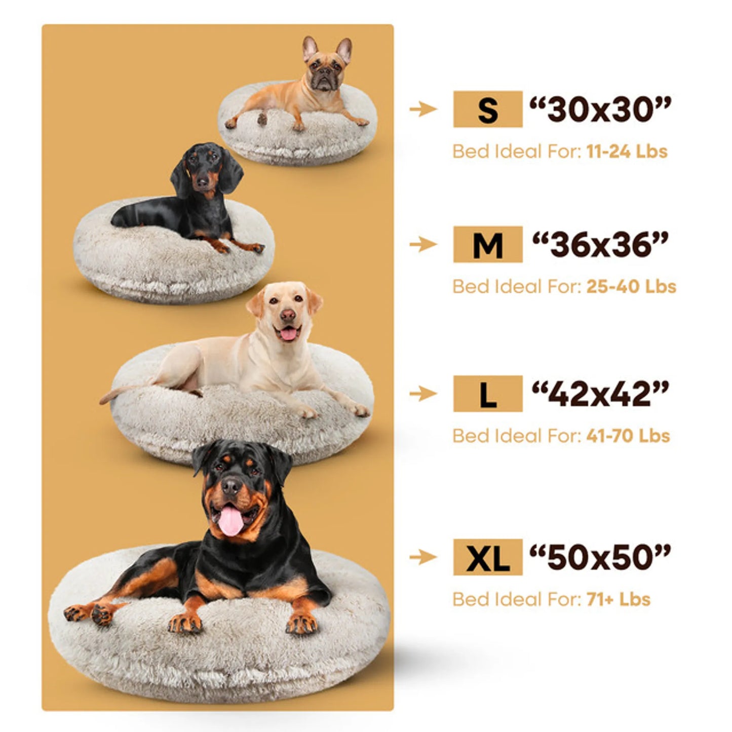 Bagel Bed SM - Blondie - Your Pet Connection