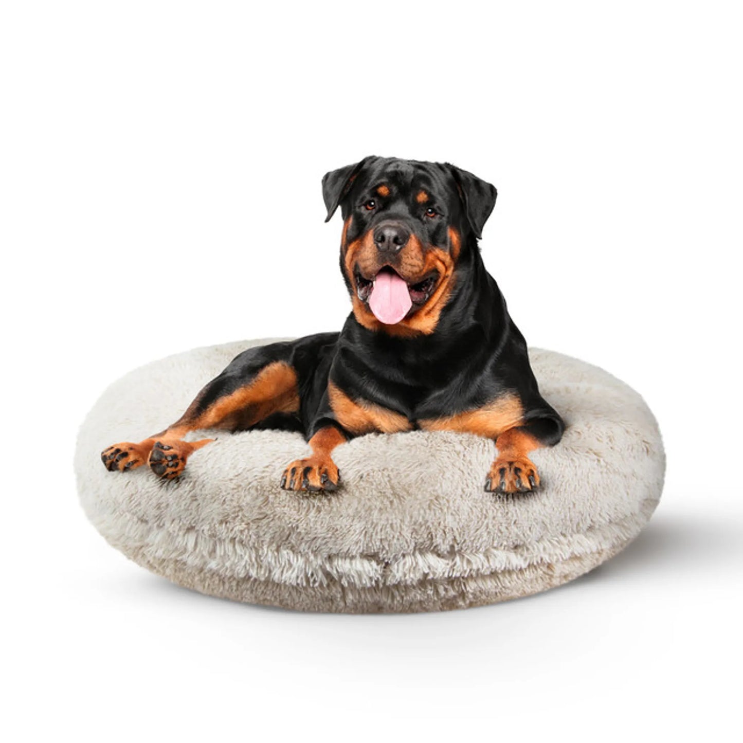 Bagel Bed SM - Blondie - Your Pet Connection