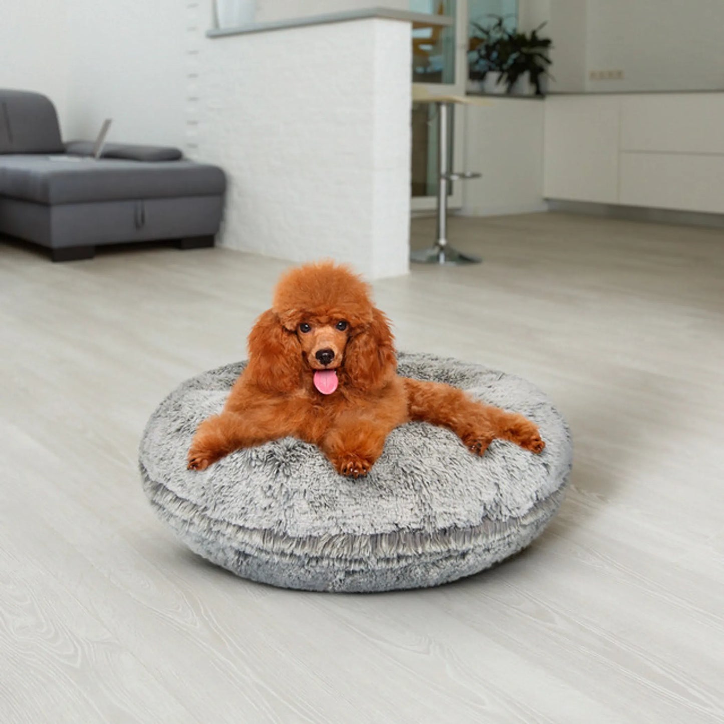 Bagel Bed SM - Blondie - Your Pet Connection