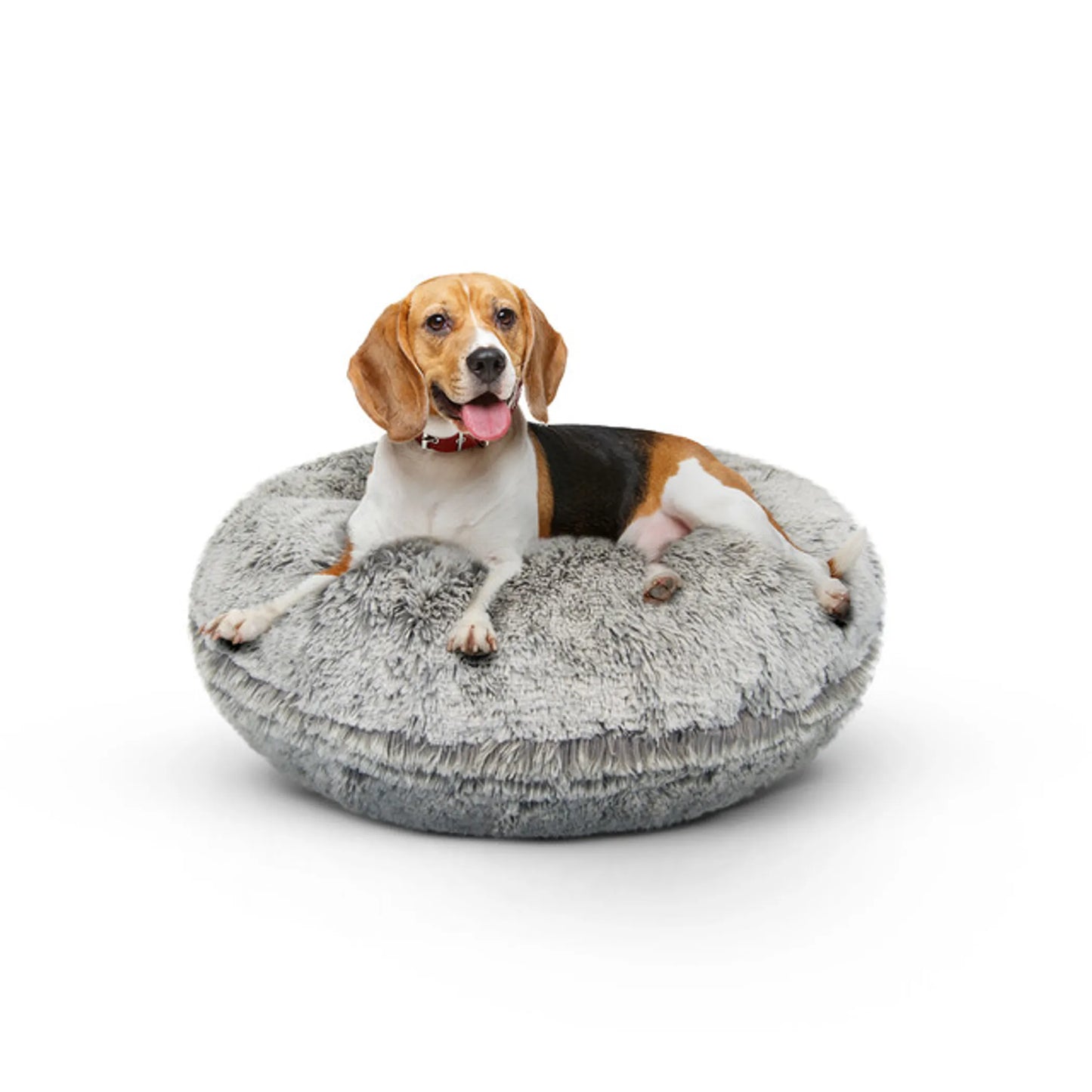 Bagel Bed SM - Blondie - Your Pet Connection