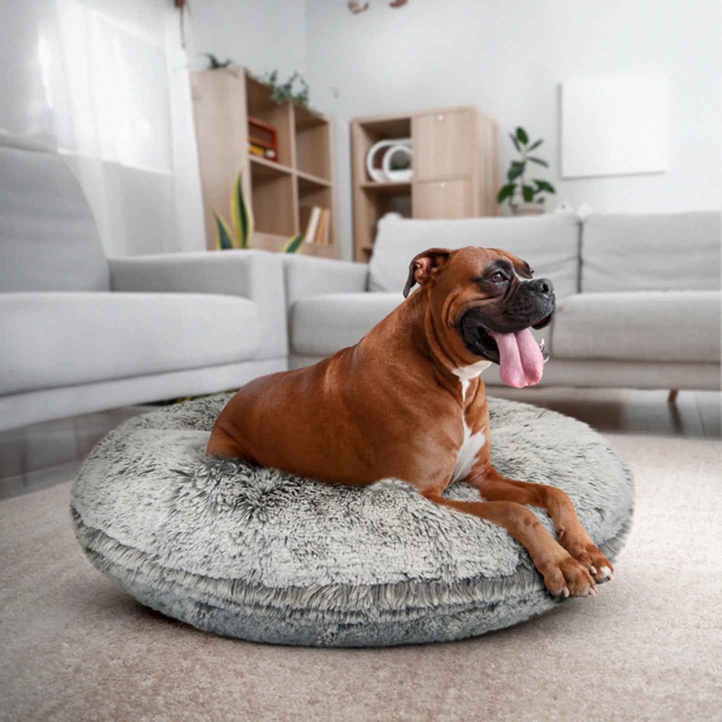 Bagel Bed SM - Blondie - Your Pet Connection