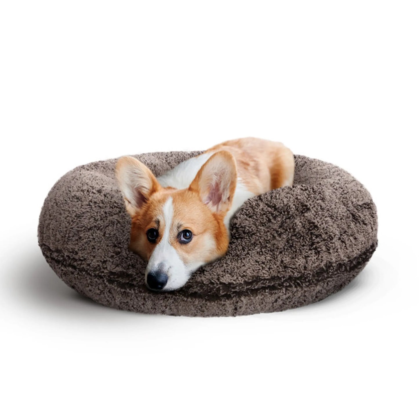 Bagel Bed SM - Blondie - Your Pet Connection