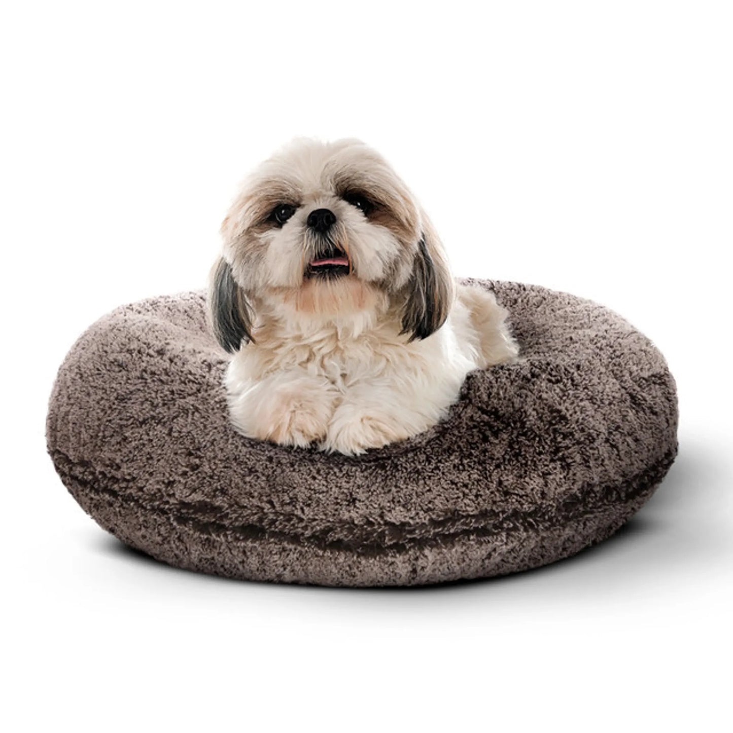 Bagel Bed SM - Blondie - Your Pet Connection